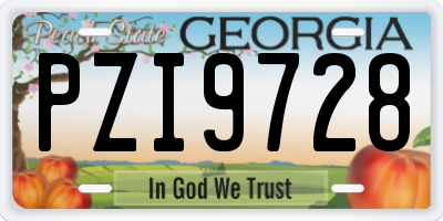 GA license plate PZI9728