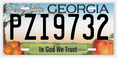 GA license plate PZI9732