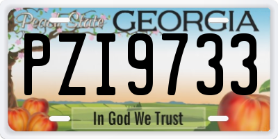 GA license plate PZI9733
