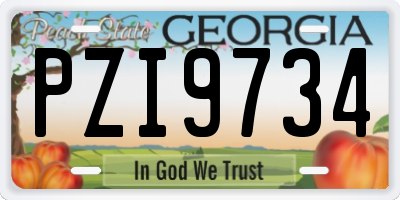 GA license plate PZI9734