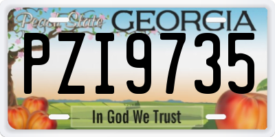 GA license plate PZI9735