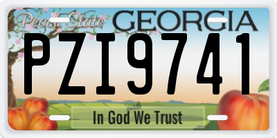 GA license plate PZI9741