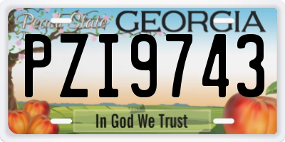 GA license plate PZI9743