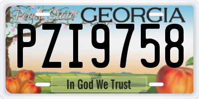 GA license plate PZI9758
