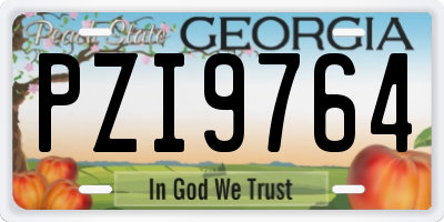 GA license plate PZI9764