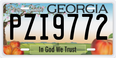 GA license plate PZI9772