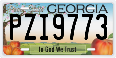 GA license plate PZI9773