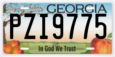GA license plate PZI9775