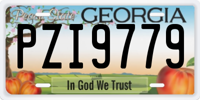 GA license plate PZI9779
