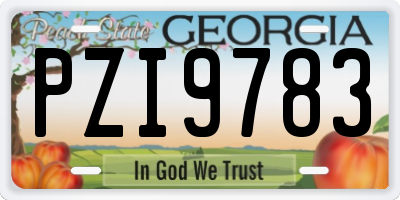 GA license plate PZI9783