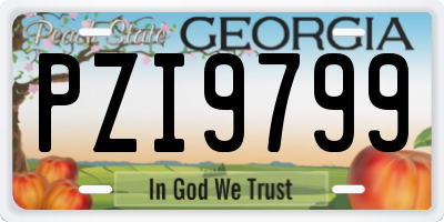GA license plate PZI9799