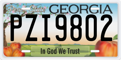 GA license plate PZI9802