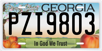 GA license plate PZI9803