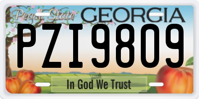 GA license plate PZI9809