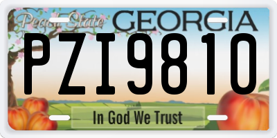 GA license plate PZI9810