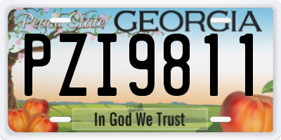 GA license plate PZI9811