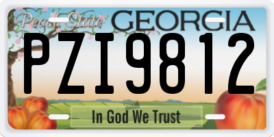 GA license plate PZI9812