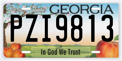 GA license plate PZI9813