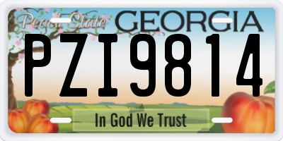 GA license plate PZI9814