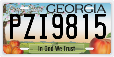 GA license plate PZI9815
