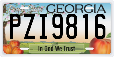 GA license plate PZI9816