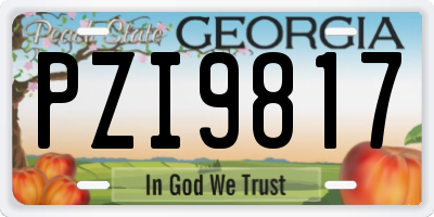 GA license plate PZI9817