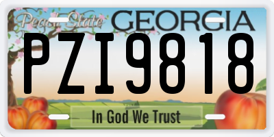 GA license plate PZI9818