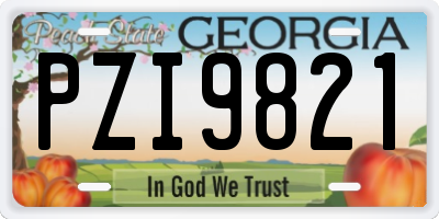 GA license plate PZI9821