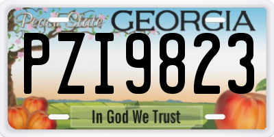 GA license plate PZI9823