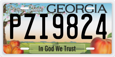 GA license plate PZI9824