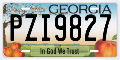 GA license plate PZI9827