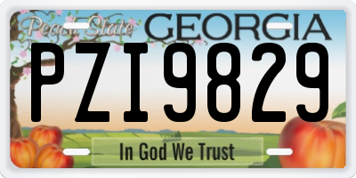 GA license plate PZI9829