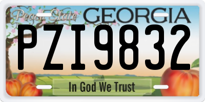 GA license plate PZI9832