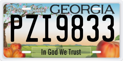 GA license plate PZI9833