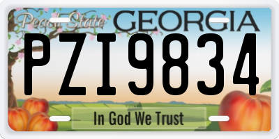 GA license plate PZI9834
