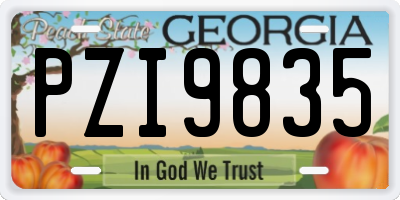 GA license plate PZI9835