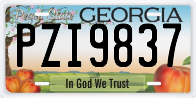 GA license plate PZI9837