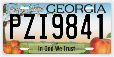GA license plate PZI9841