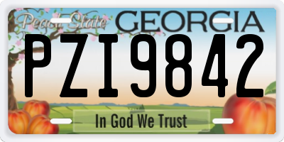 GA license plate PZI9842