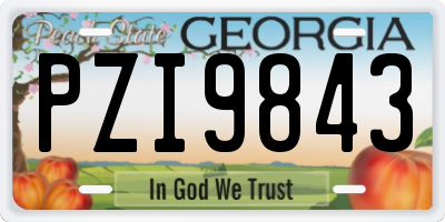 GA license plate PZI9843