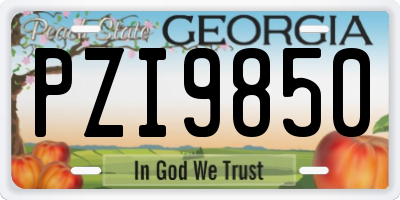 GA license plate PZI9850