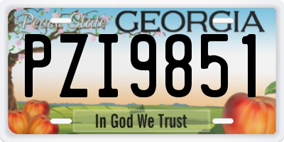 GA license plate PZI9851