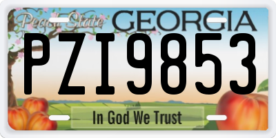 GA license plate PZI9853