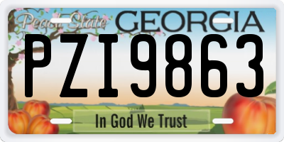 GA license plate PZI9863