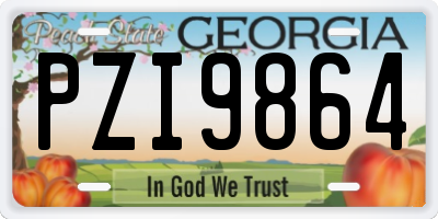 GA license plate PZI9864