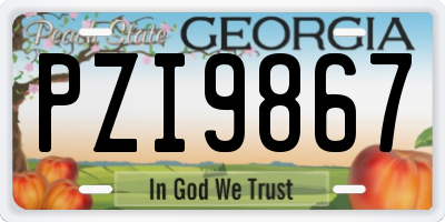 GA license plate PZI9867