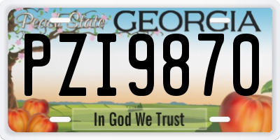 GA license plate PZI9870