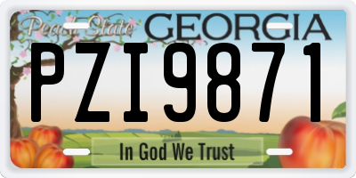 GA license plate PZI9871