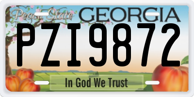 GA license plate PZI9872