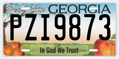 GA license plate PZI9873